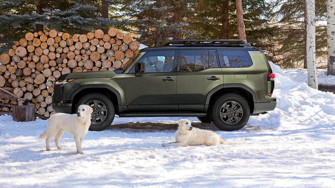 Green 2026 Lexus GX SUV in snow with two white dogs